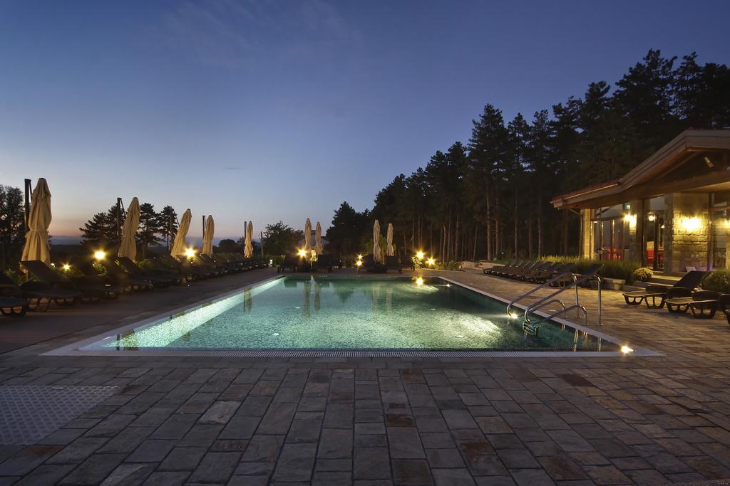 Esterra Vini Guest House Perushtitsa Zewnętrze zdjęcie
